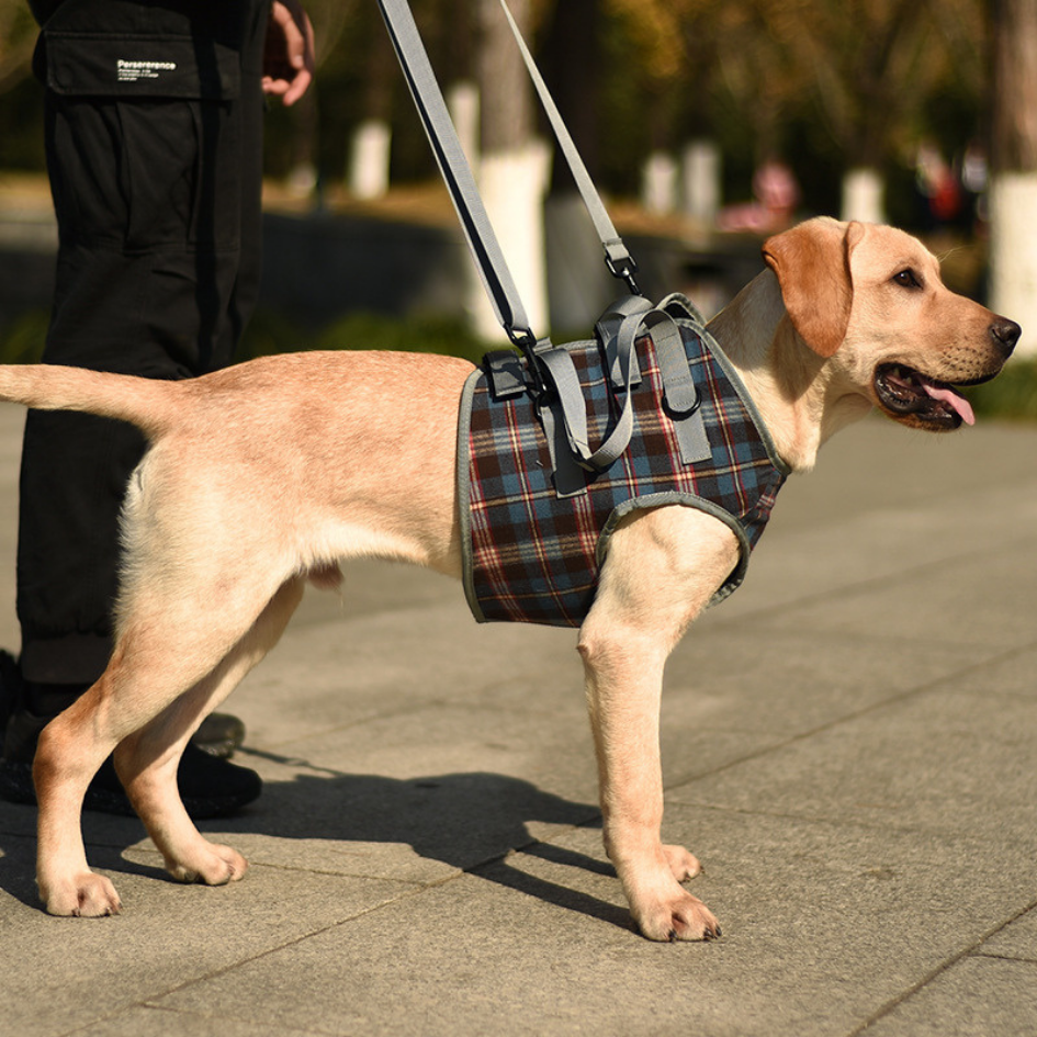 Front Support Harness | Mobility Aid