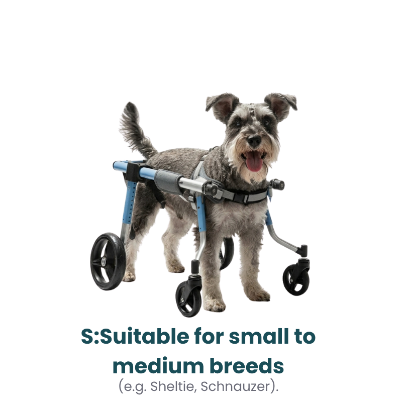 All-Sizes Dog Wheelchair: Adjustable for Full Body Support