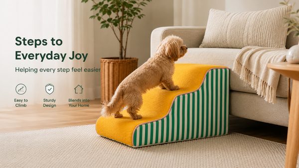 Dog mobility support category