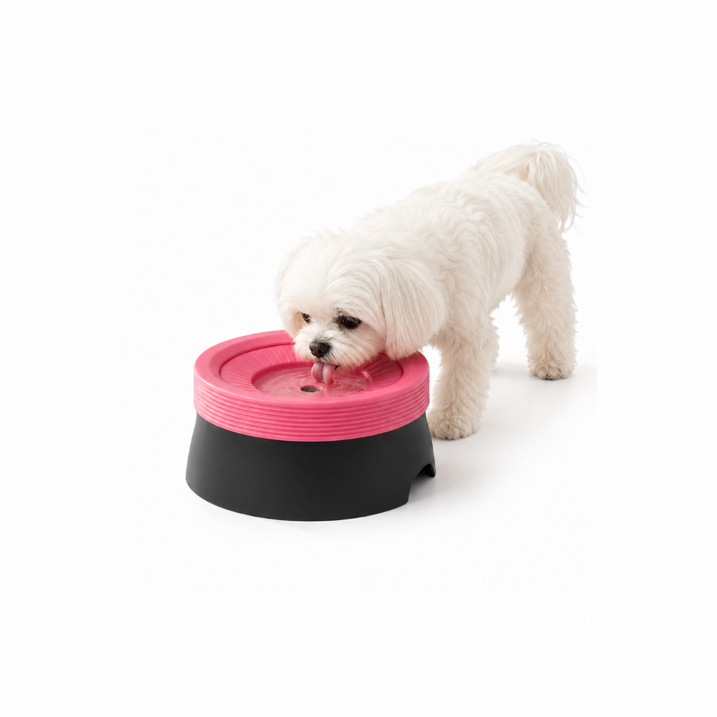 Non-Spill Pet Water Bowl