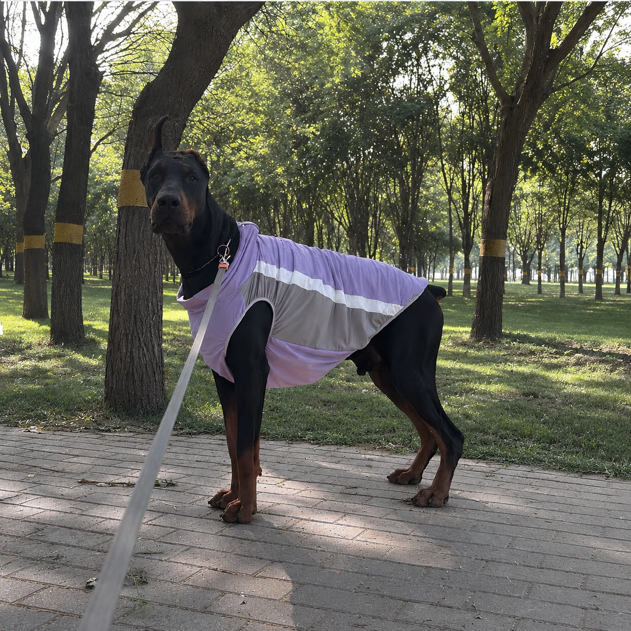 Dual-Cooling Instant Dog Ice Vest